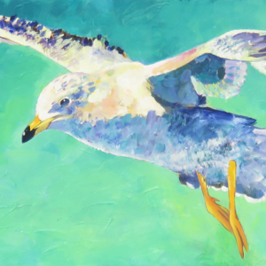 Ringbill Gull - 2019 - 36"x12" - Acrylic on Cradled Wood Panel