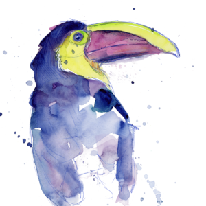 Toucan - 2019 - 8"x8" - Ink on Watercolor on Watercolor Paper