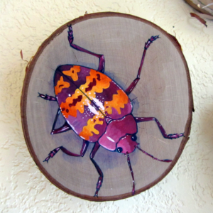 Beetle 2 - 2015 - Acrylic on Birch Wood Round