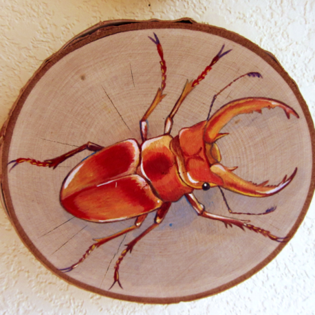 beetle-3-crop-r