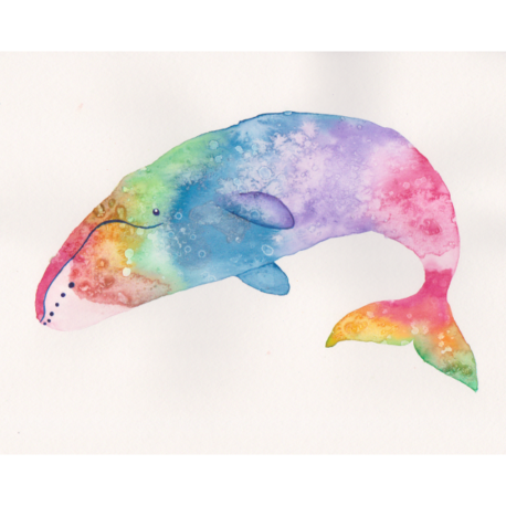 Rainbow Bowhead Whale