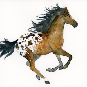 Appaloosa Horse - 2018 - 8"x8" - Watercolor on Watercolor Paper