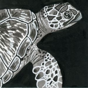 Sea Turtle (Inktober) - 2018 - 3"x3" - Ink on Watercolor Artboard