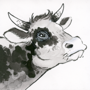 Cow (Inktober) - 2018 - 3"x3" - Ink on Watercolor Artboard