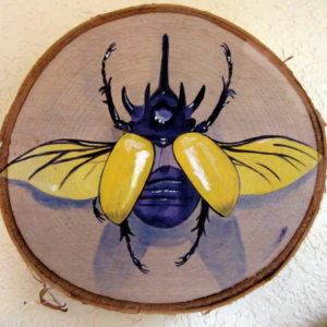 Beetle 3 - 2015 - Acrylic on Birch Wood Round