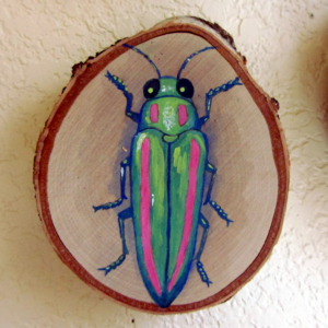 Beetle 5 - 2015 - Acrylic on Birch Wood Round