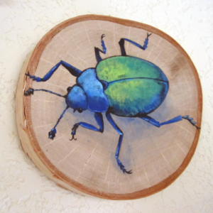 Beetle 1 - 2015 - Acrylic on Birch Wood Round