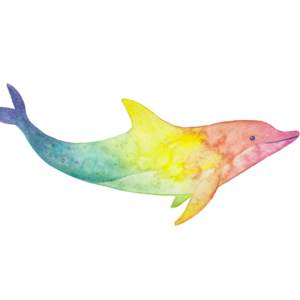 Rainbow Dolphin - 2017 - 8"x10" - Watercolor on Watercolor Paper