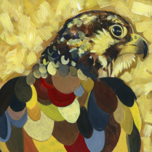 Perigrine Falcon - 2019 - 6"x6" - Acrylic on Cradled Wood Panel